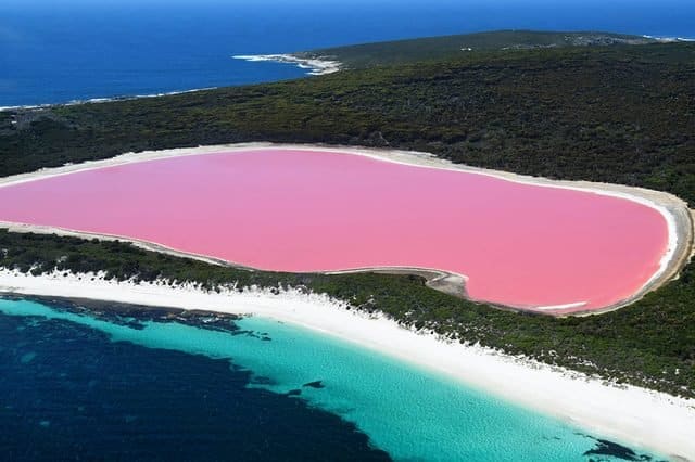 02 Australia Naturally Beautiful Pink Lakes from Around the World 714405349 matteo it 1