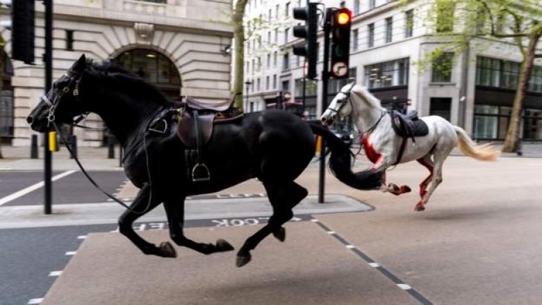 Dramë në Londër  kuajt e arratisur rrëzojnë kalorësit dhe shkaktojnë kaos   lëndohen 4 persona
