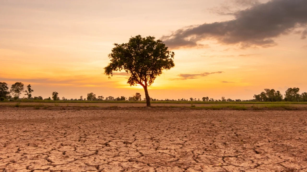 El Niño aktivizohet zyrtarisht  shkencëtarët paralajmërojnë rritje të temperaturave globale