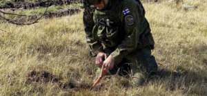Main Post Image