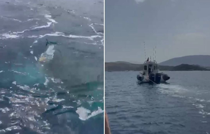 Peshkatari humb jetën pranë Ishujve të Ksamilit  policia po heton rrethanat