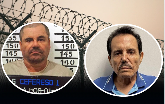 Bashkë e nisën, njëjtë u bitisën: Bosët e kartelit “Sinaloa”, El